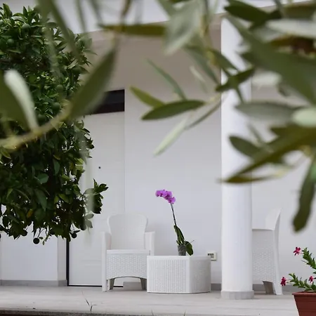 Il Marangolo Di Gioso