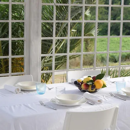 Il Marangolo Di Gioso *