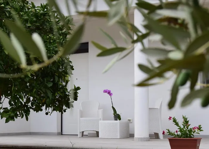 Il Marangolo Di Gioso